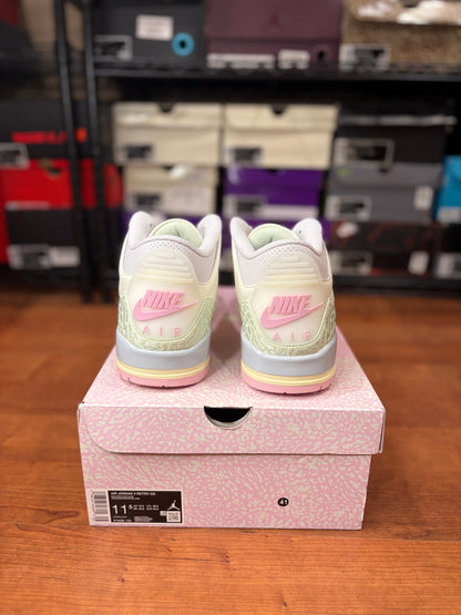 Jordan Retro 3 Spring Is In The Air (Brand New - 11.5M)