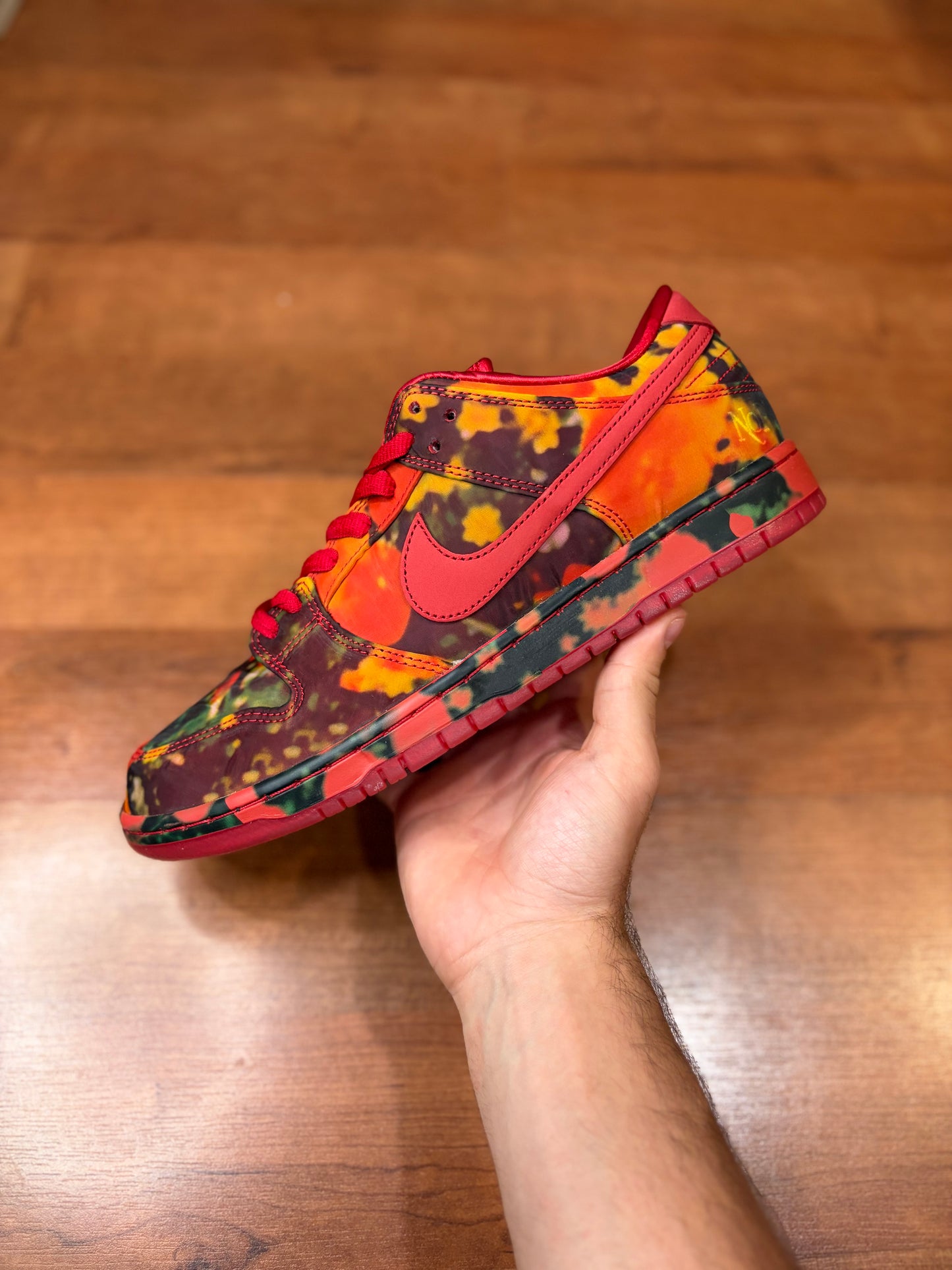 Nike Dunk Low SB Wizard of OZ (Brand New - 11M)