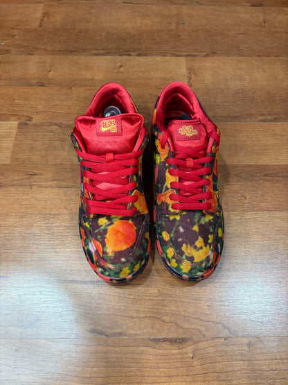 Dunk Low SB Wizard of OZ (Size 11.5 Mens)