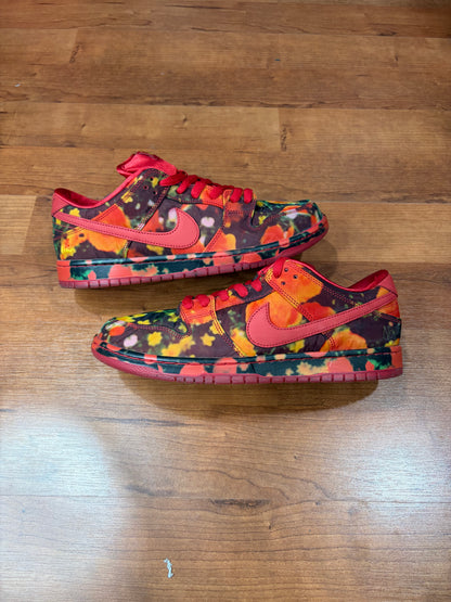Dunk Low SB Wizard of OZ (Size 11.5 Mens)