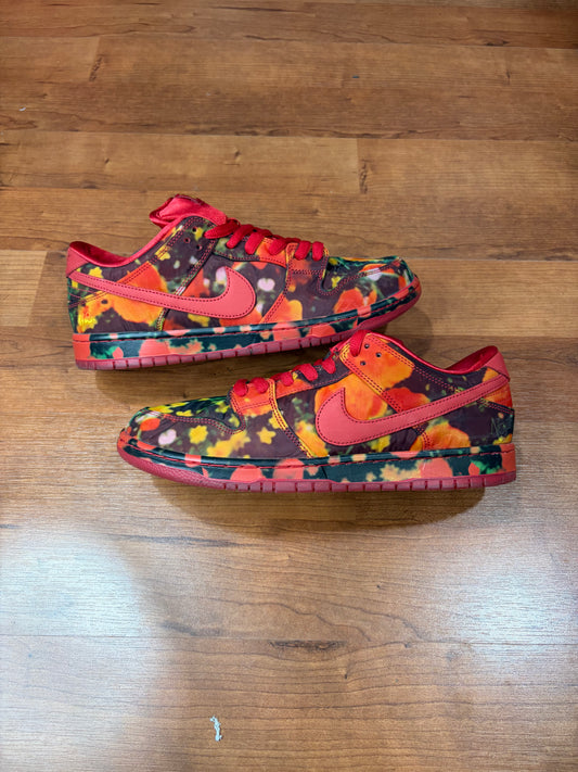 Dunk Low SB Wizard of OZ (Size 11.5 Mens)