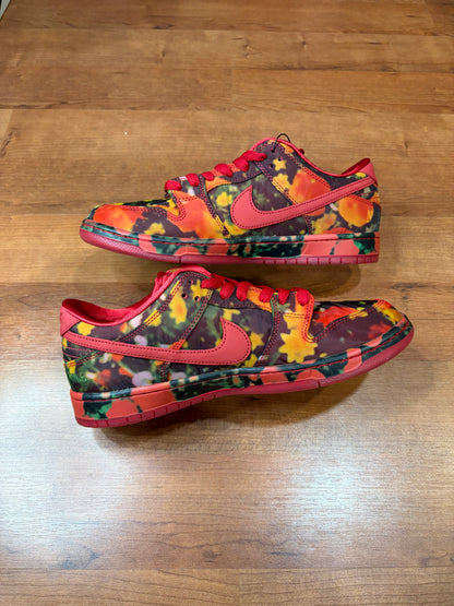 Nike Dunk Low SB Wizard of OZ (Brand New - 11M)