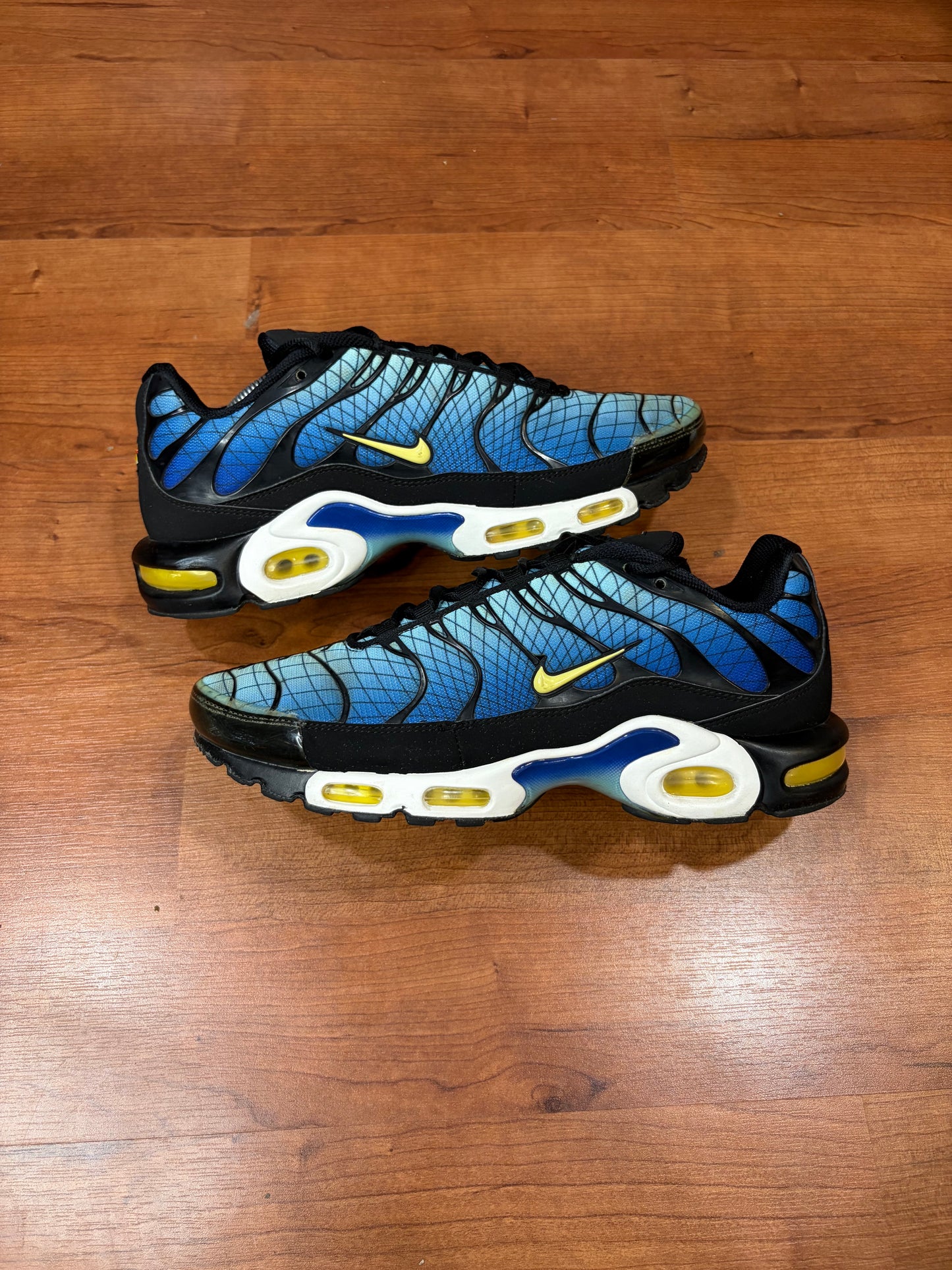 Nike Air Max Plus Greedy (Size 11.5 Mens)
