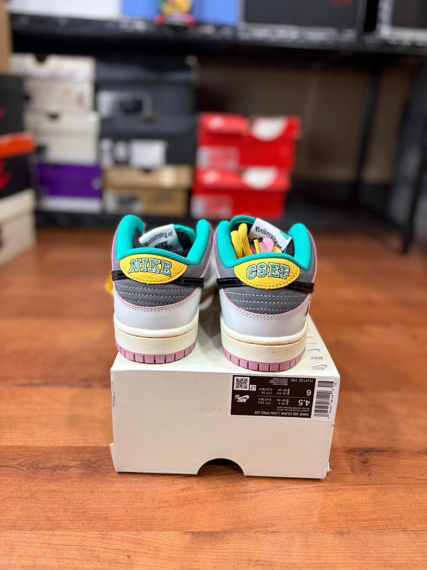 Nike Dunk Low SB CSEF (Brand New - 4.5M / 6W)