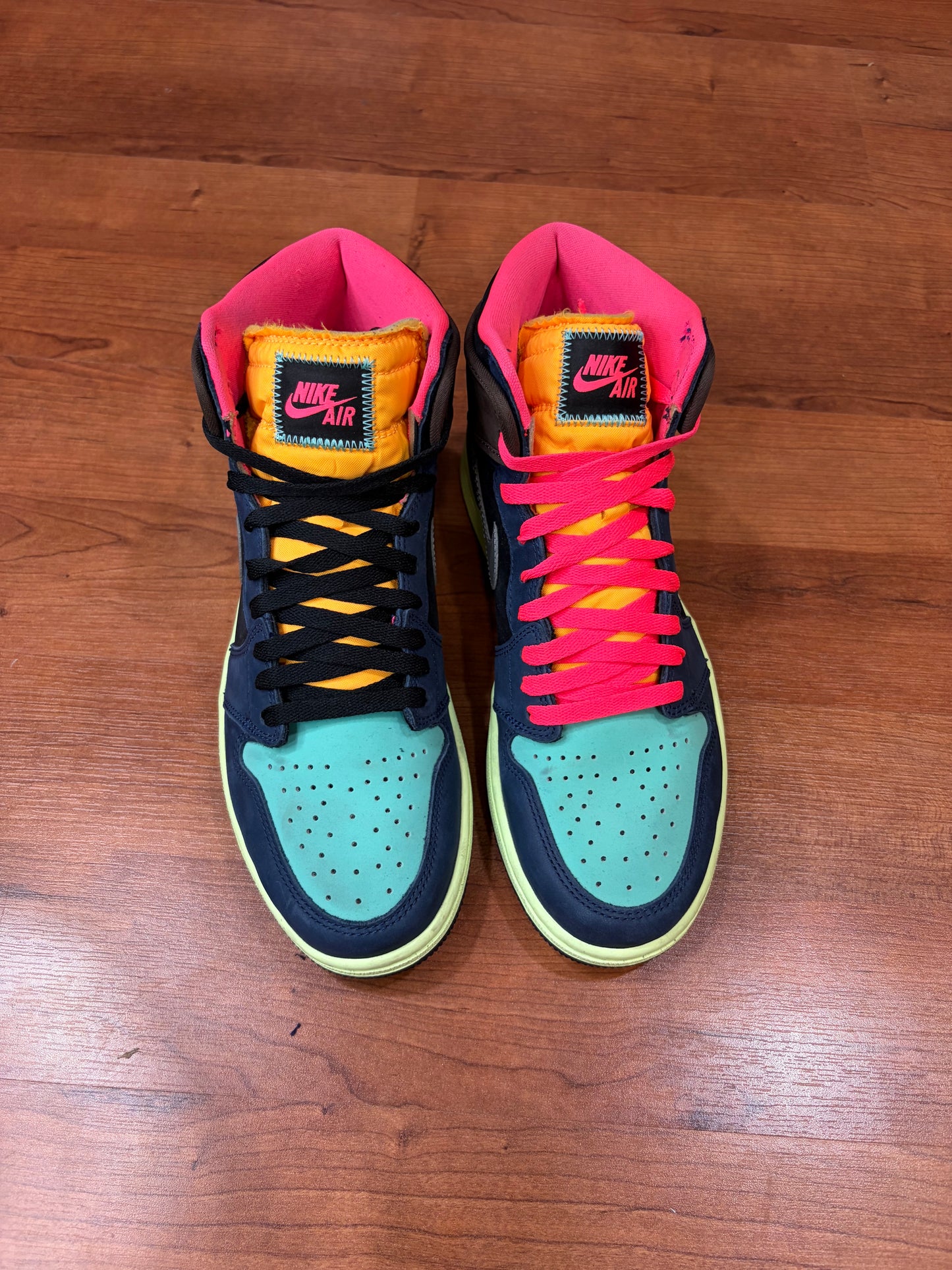 Jordan Retro 1 Biohack (Size 10 Mens)
