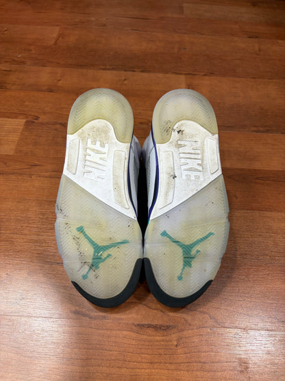 AJ5 Retro Grape (Size 8.5 Mens)