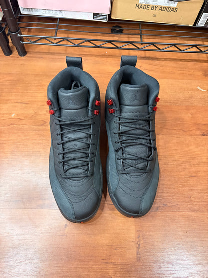 Jordan Retro 12 Bloodline (Size 12 Mens)