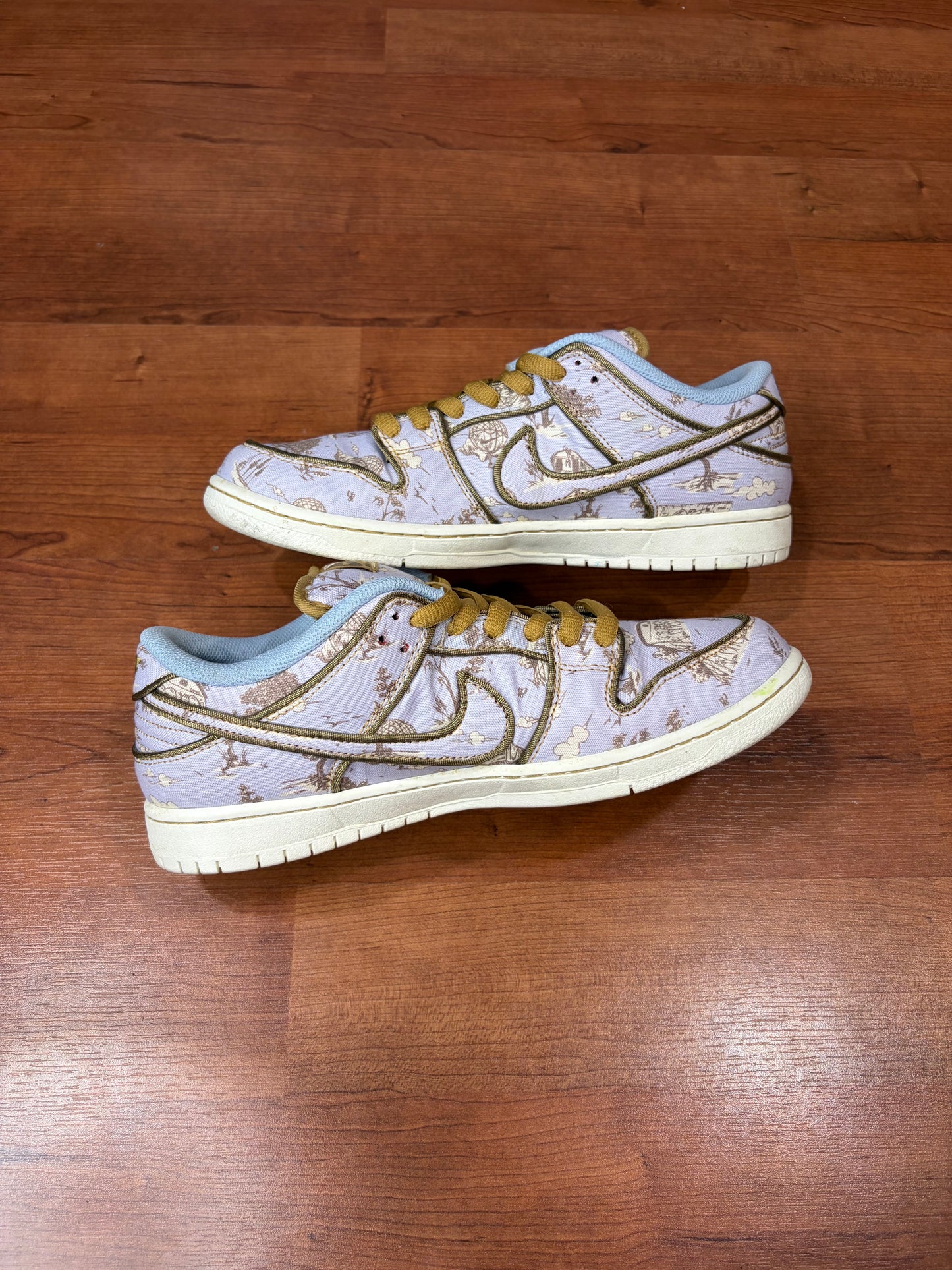 Nike Dunk Low SB City of Style (Size 11 Mens)