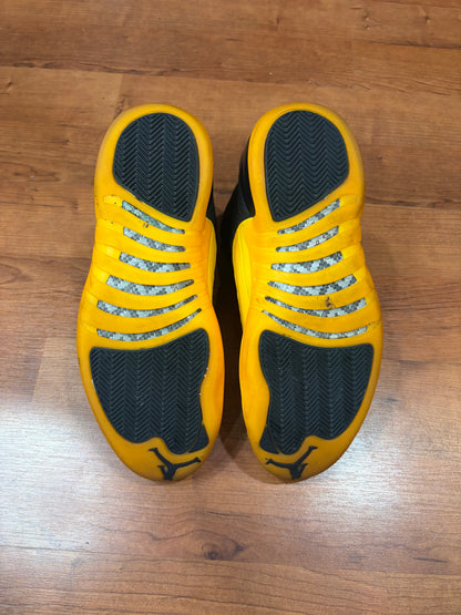 Jordan Retro 12 University Gold (Size 10.5 Mens)