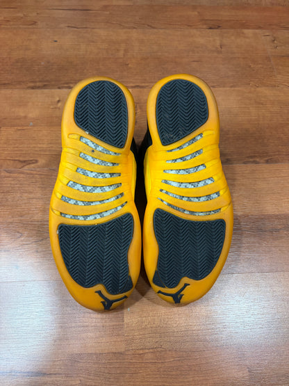 AJ12 Retro University Gold (Size 9.5 Mens)