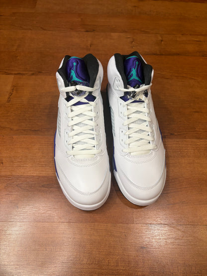 Jordan Retro 5 Grape (Brand New - 11M)