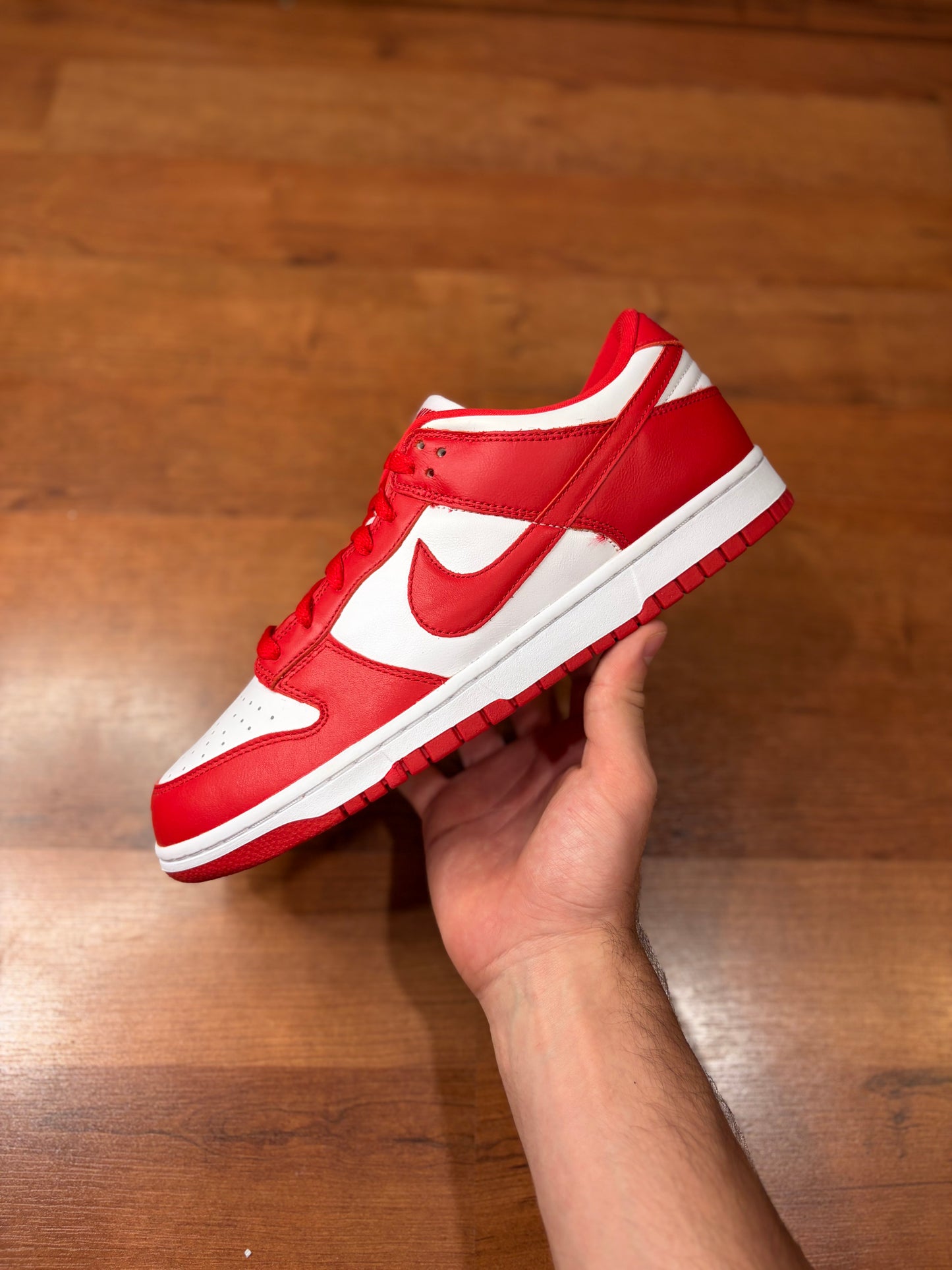 Nike Dunk Low St. Johns (Brand New - 10.5M)