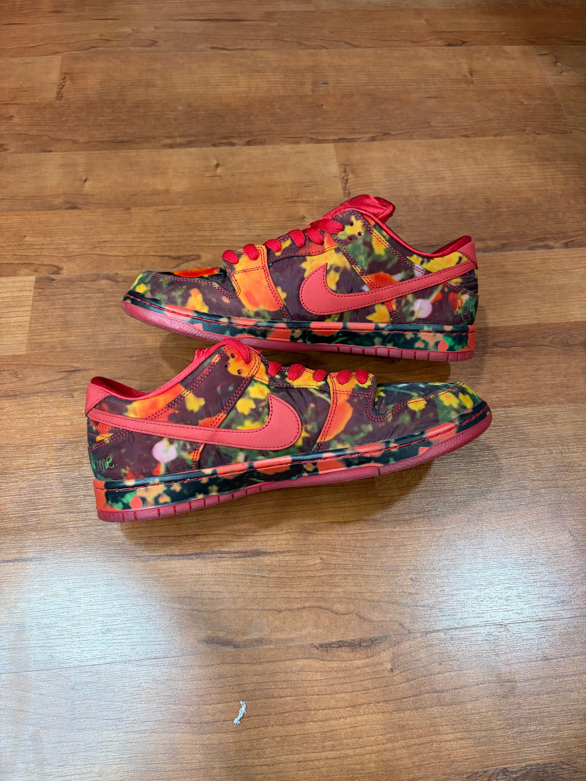 Dunk Low SB Wizard of OZ (Size 11.5 Mens)