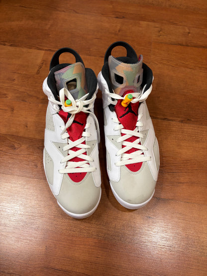 Jordan Retro 6 Hare (Size 11 Mens)