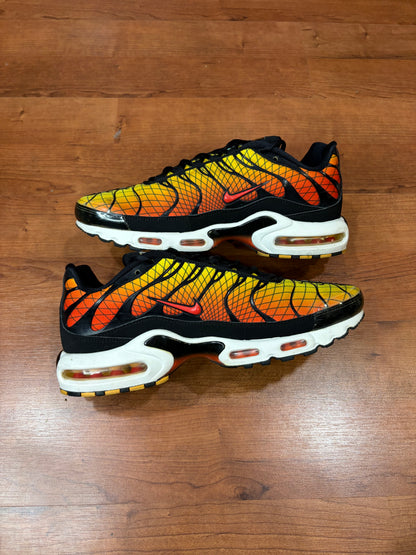 Nike Air Max Plus Greedy (Size 11.5 Mens)